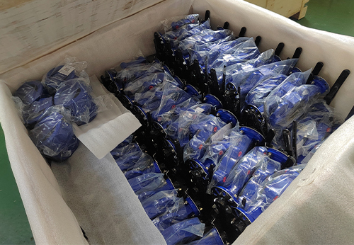 般德蝶閥、蝶式止回閥等產(chǎn)品出口澳大利亞